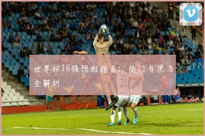 世界杯16强预测指南：热门与黑马全解析