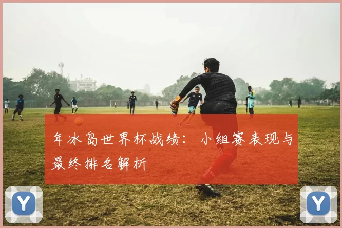 年冰岛世界杯战绩:小组赛表现与最终排名解析