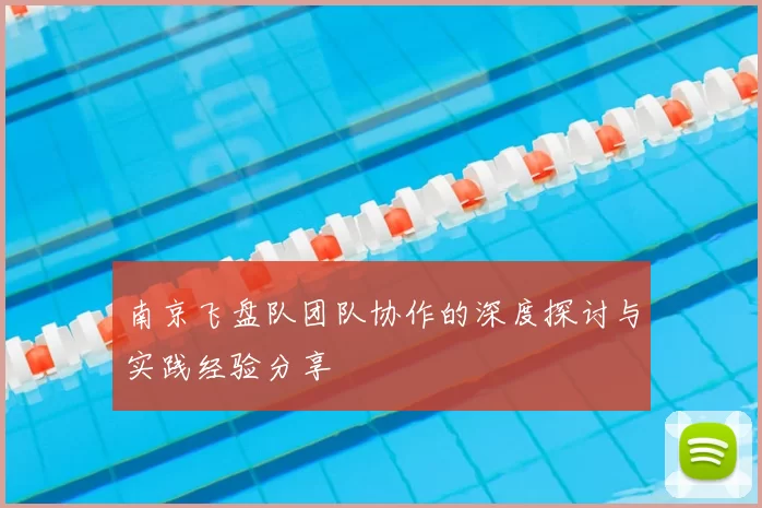 南京飞盘队团队协作的深度探讨与实践经验分享
