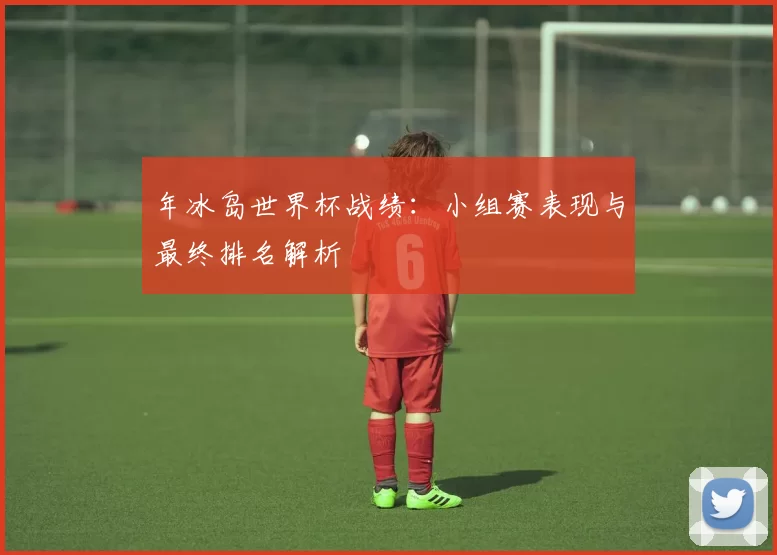 年冰岛世界杯战绩:小组赛表现与最终排名解析