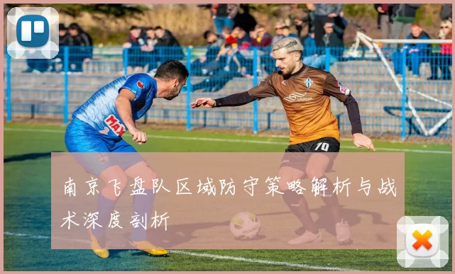 南京飞盘队区域防守策略解析与战术深度剖析
