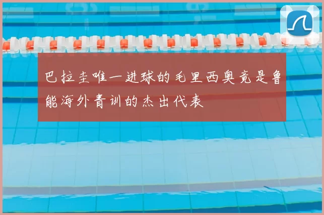 巴拉圭唯一进球的毛里西奥竟是鲁能海外青训的杰出代表