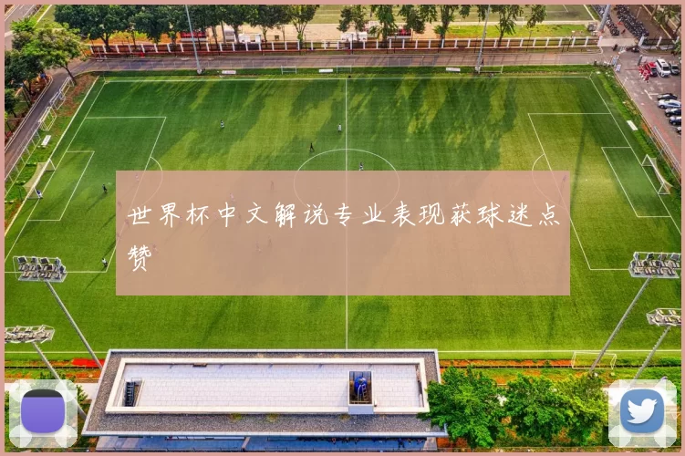 世界杯中文解说专业表现获球迷点赞
