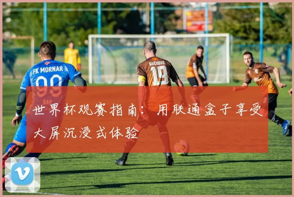 世界杯观赛指南:用联通盒子享受大屏沉浸式体验