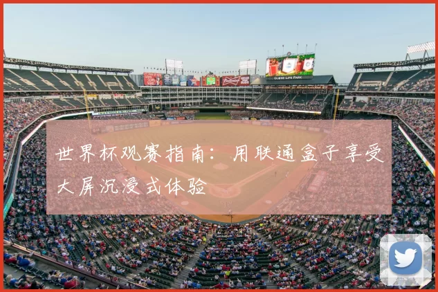 世界杯观赛指南：用联通盒子享受大屏沉浸式体验