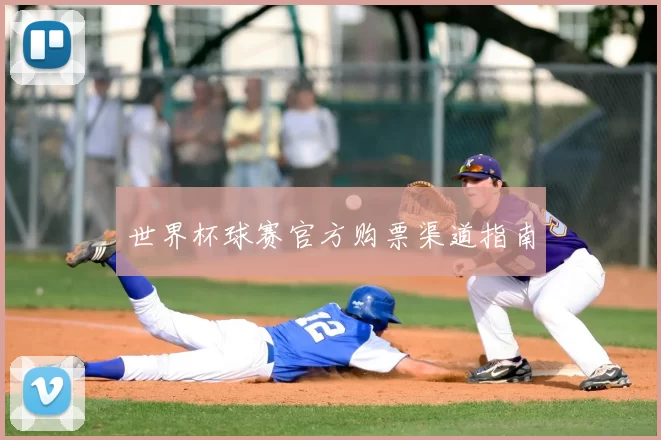世界杯球赛官方购票渠道指南