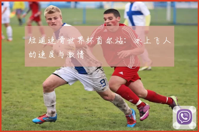 短道速滑世界杯首尔站：冰上飞人的速度与激情