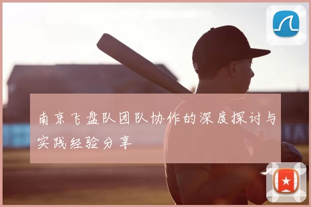 南京飞盘队团队协作的深度探讨与实践经验分享