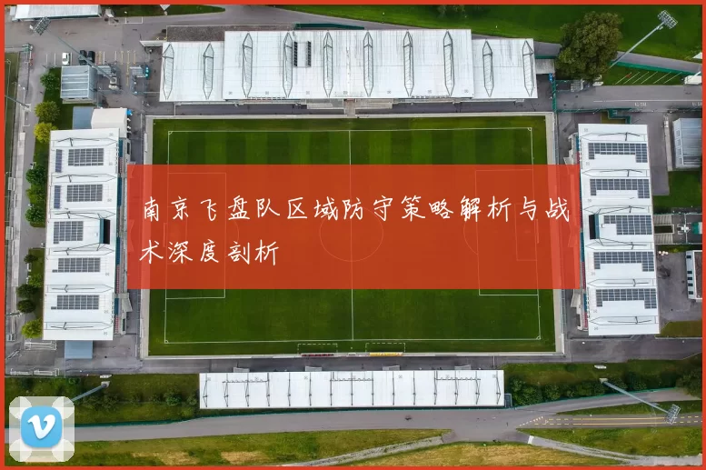 南京飞盘队区域防守策略解析与战术深度剖析