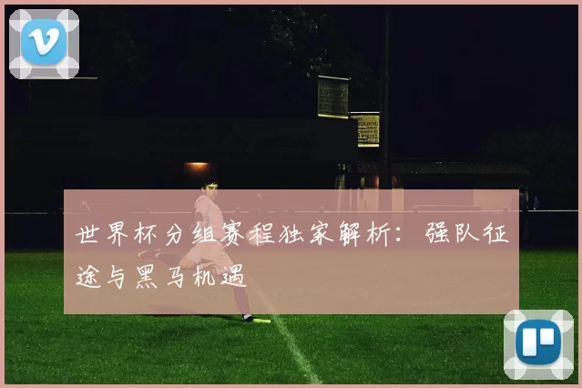 世界杯分组赛程独家解析：强队征途与黑马机遇