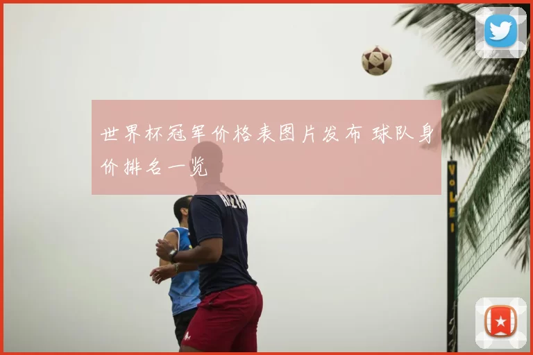 世界杯冠军价格表图片发布 球队身价排名一览