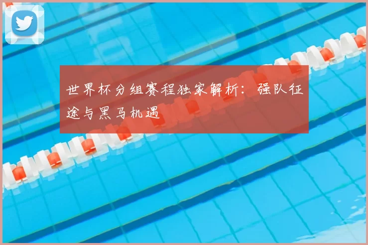 世界杯分组赛程独家解析：强队征途与黑马机遇