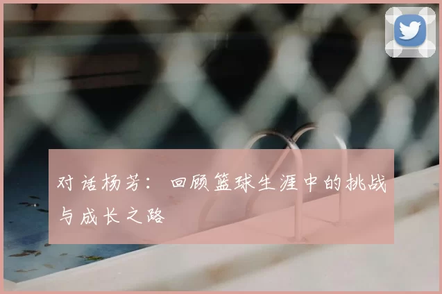 对话杨芳:回顾篮球生涯中的挑战与成长之路