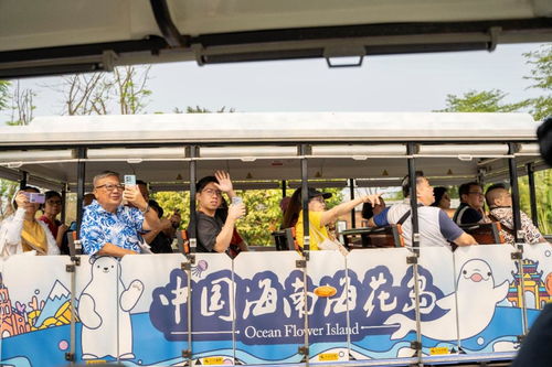 去年,这个国家来海南旅游人数同比增长超33倍