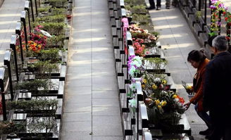 仁怀市民清明祭扫警示 使用此类冥币将面临最高5万元罚款